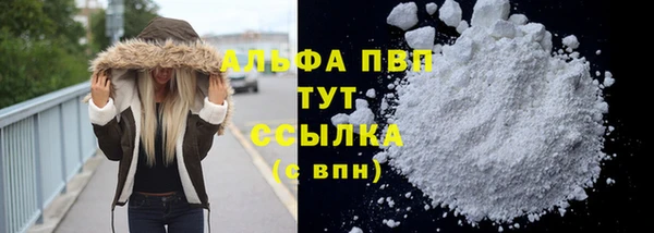 мяу мяу мука Покачи