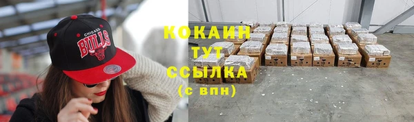 дмт Протвино