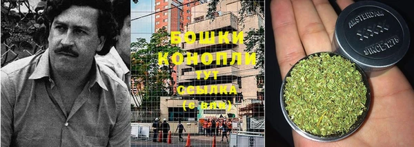 метадон Пестово