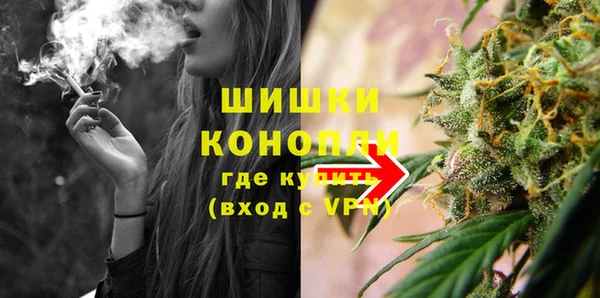 дмт Протвино