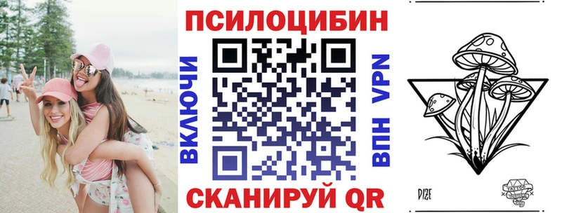 Галлюциногенные грибы Psilocybe Кизляр