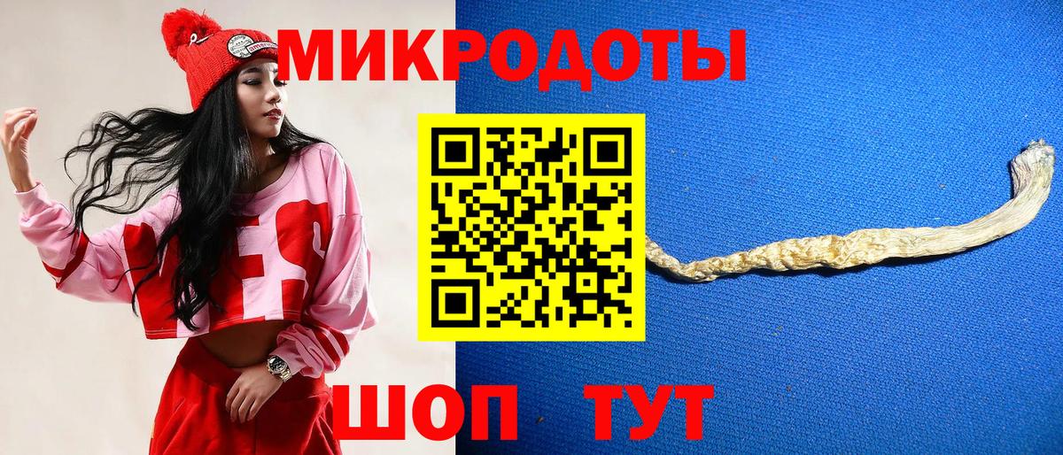 Псилоцибиновые грибы мицелий Кизляр